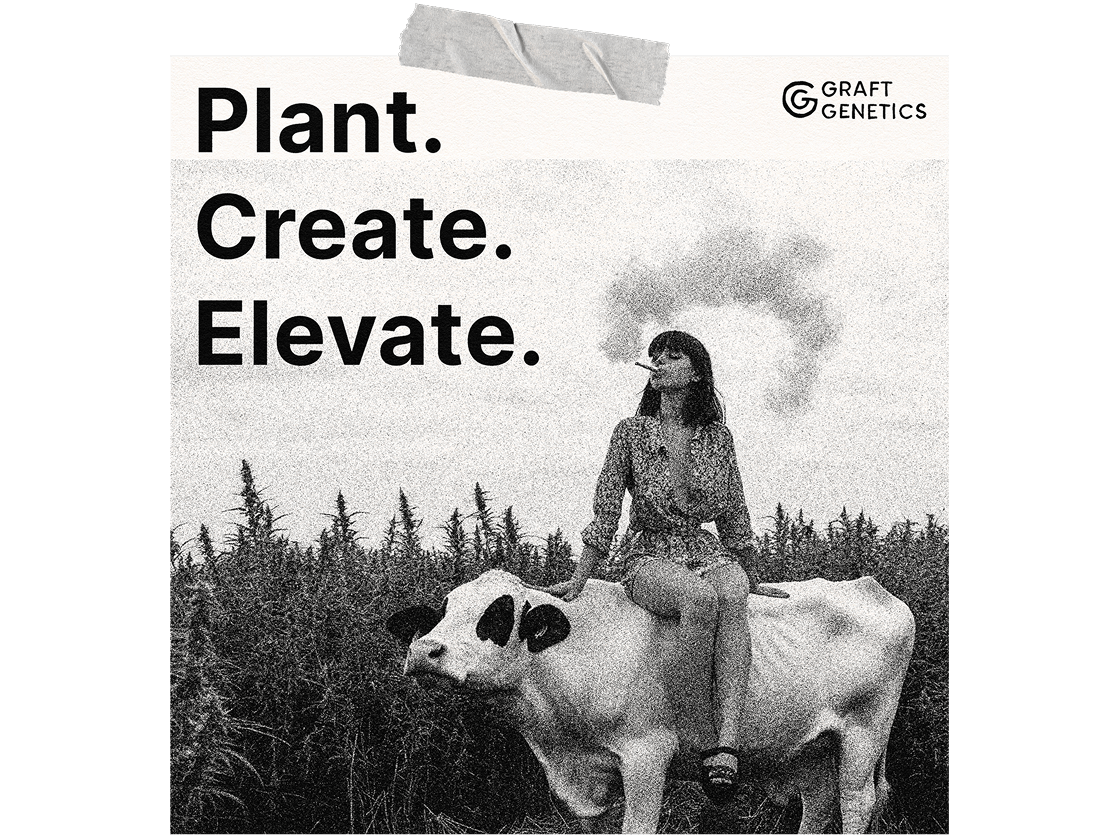 Graft-Grow-Your-Brand
